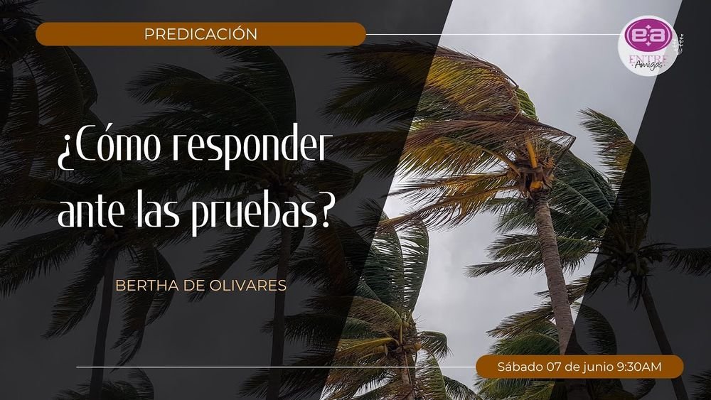 ¿Cómo responder ante las pruebas?